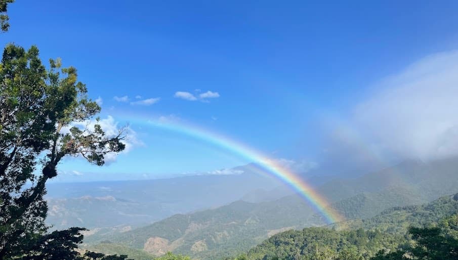 Double Rainbow